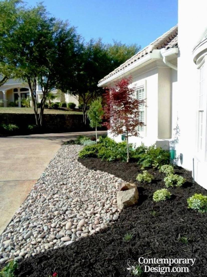 Low Water Backyard Ideas