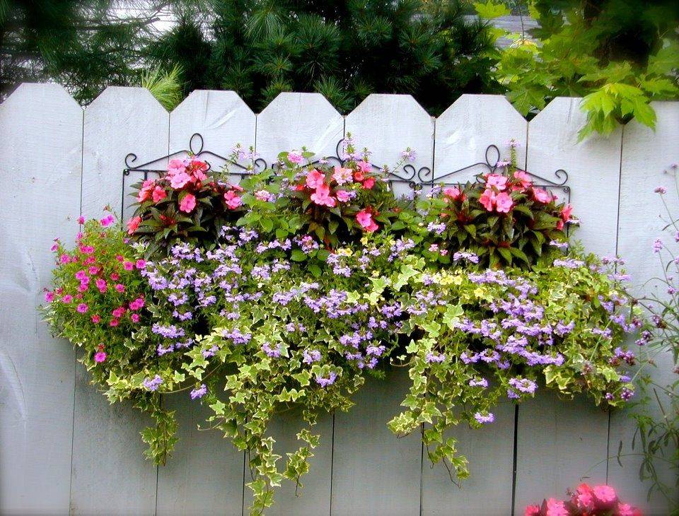 Your Privacy Fence