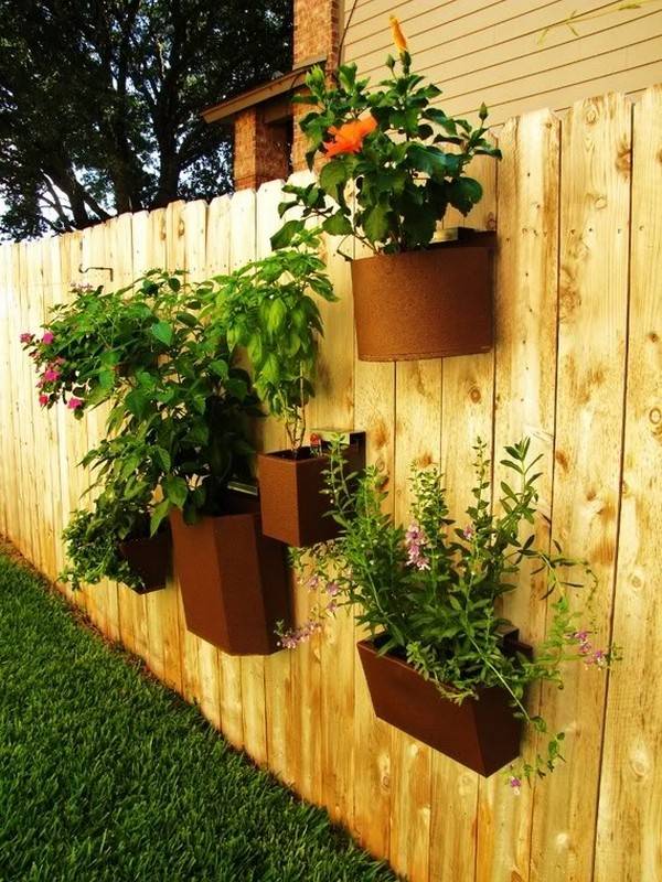 Stunning Container Gardening Ideas
