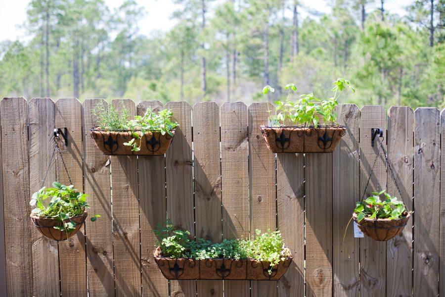 Vegetable Garden Fence Ideas Indoor Vegetable Garden