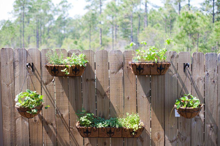Vegetable Garden Fence Ideas Indoor Vegetable Garden