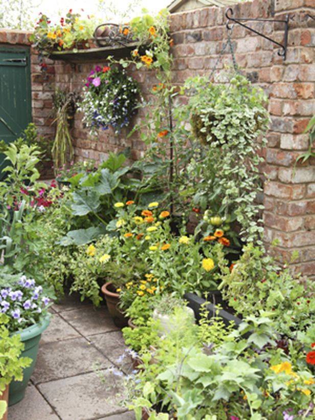 Courtyard Garden