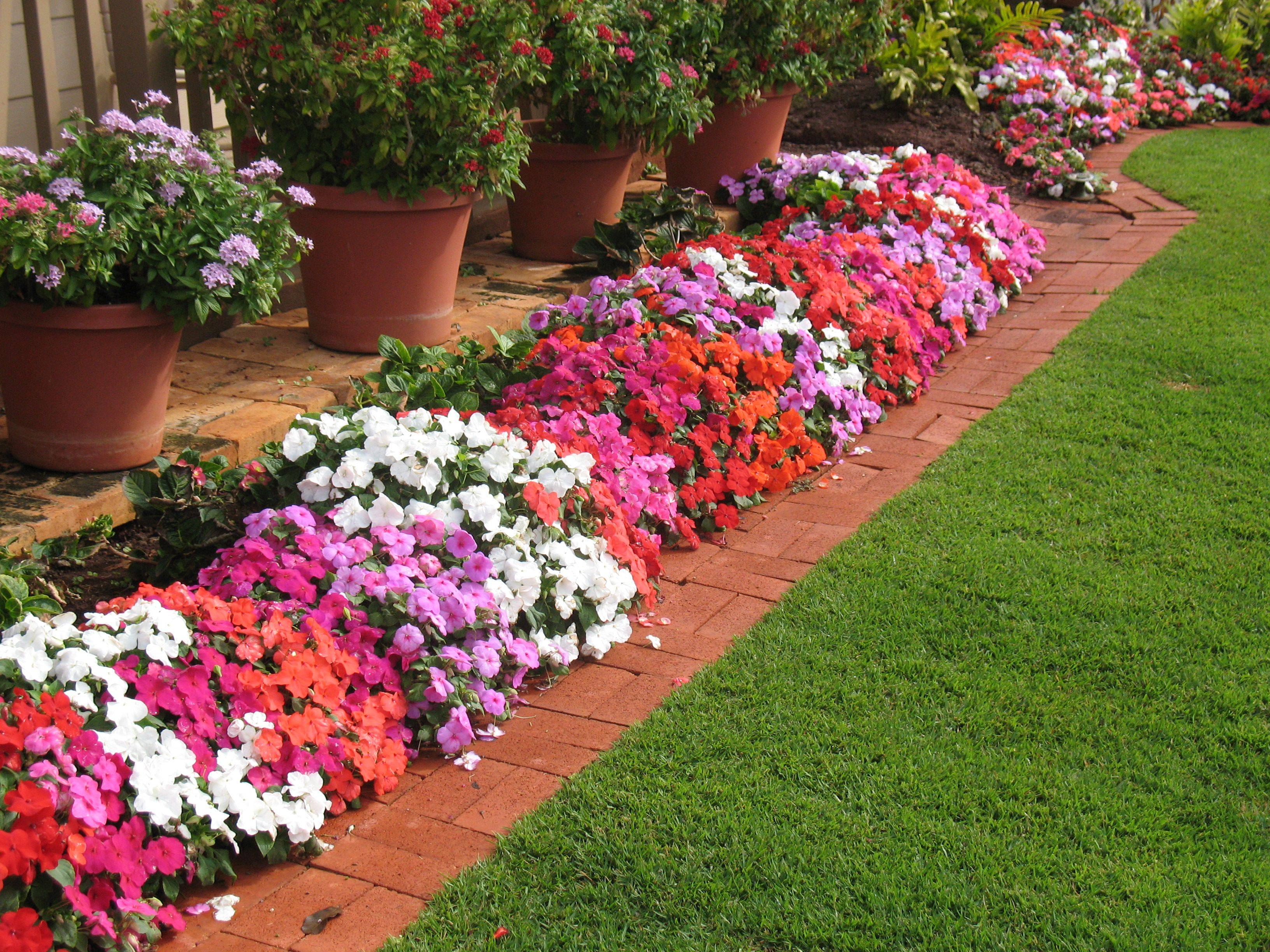 Unique Gardens