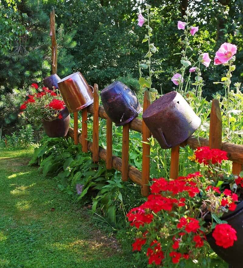 Unique Container Plant Ideas