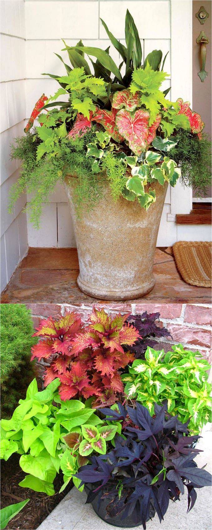 Best And Wonderful Colorful Shade Garden Pots Ideas