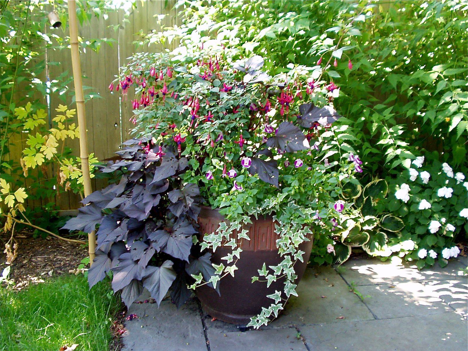 Stylish Colorful Shade Garden Pots Ideas