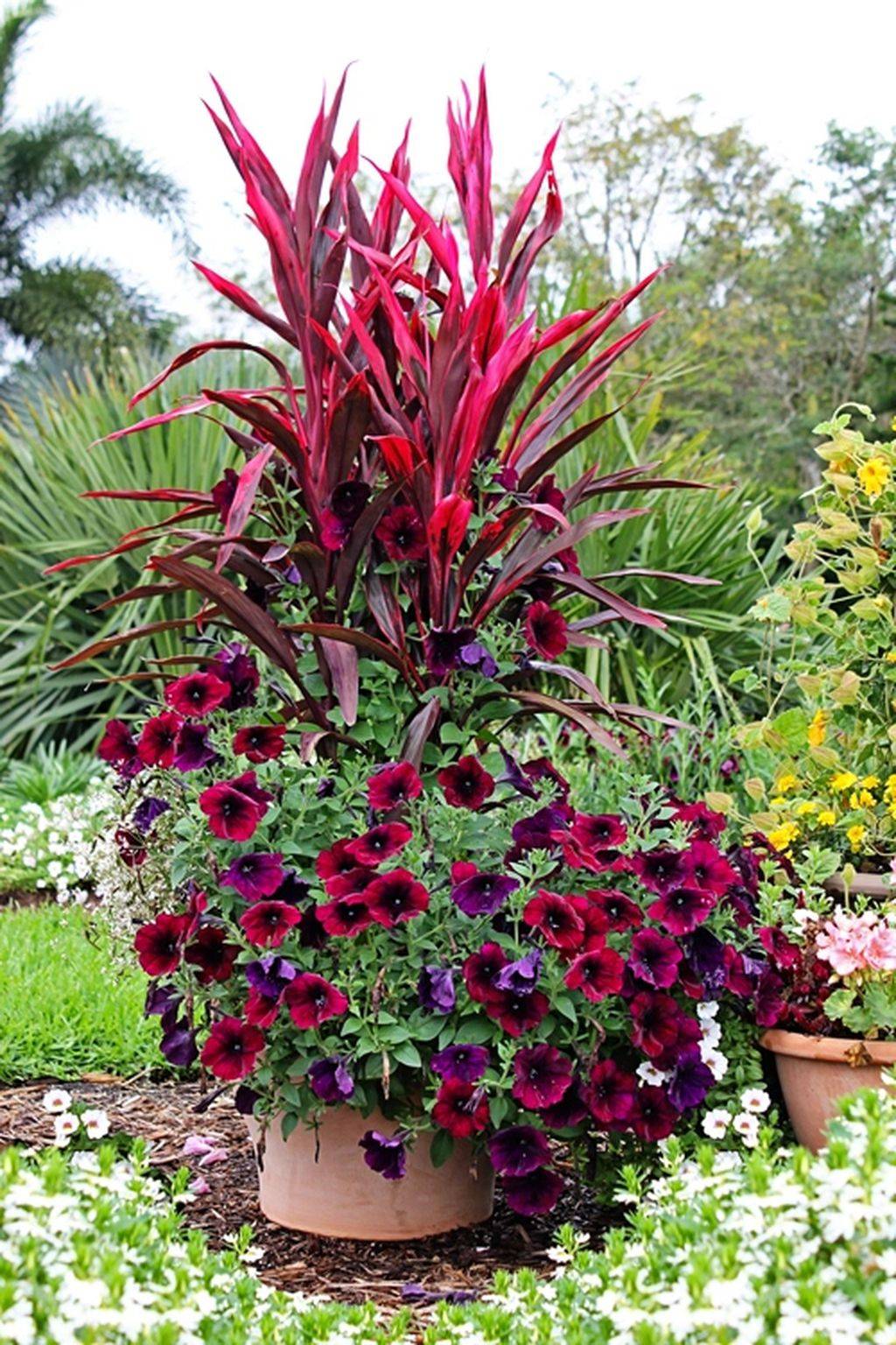 Enchanting Colorful Shade Garden Pots Ideas