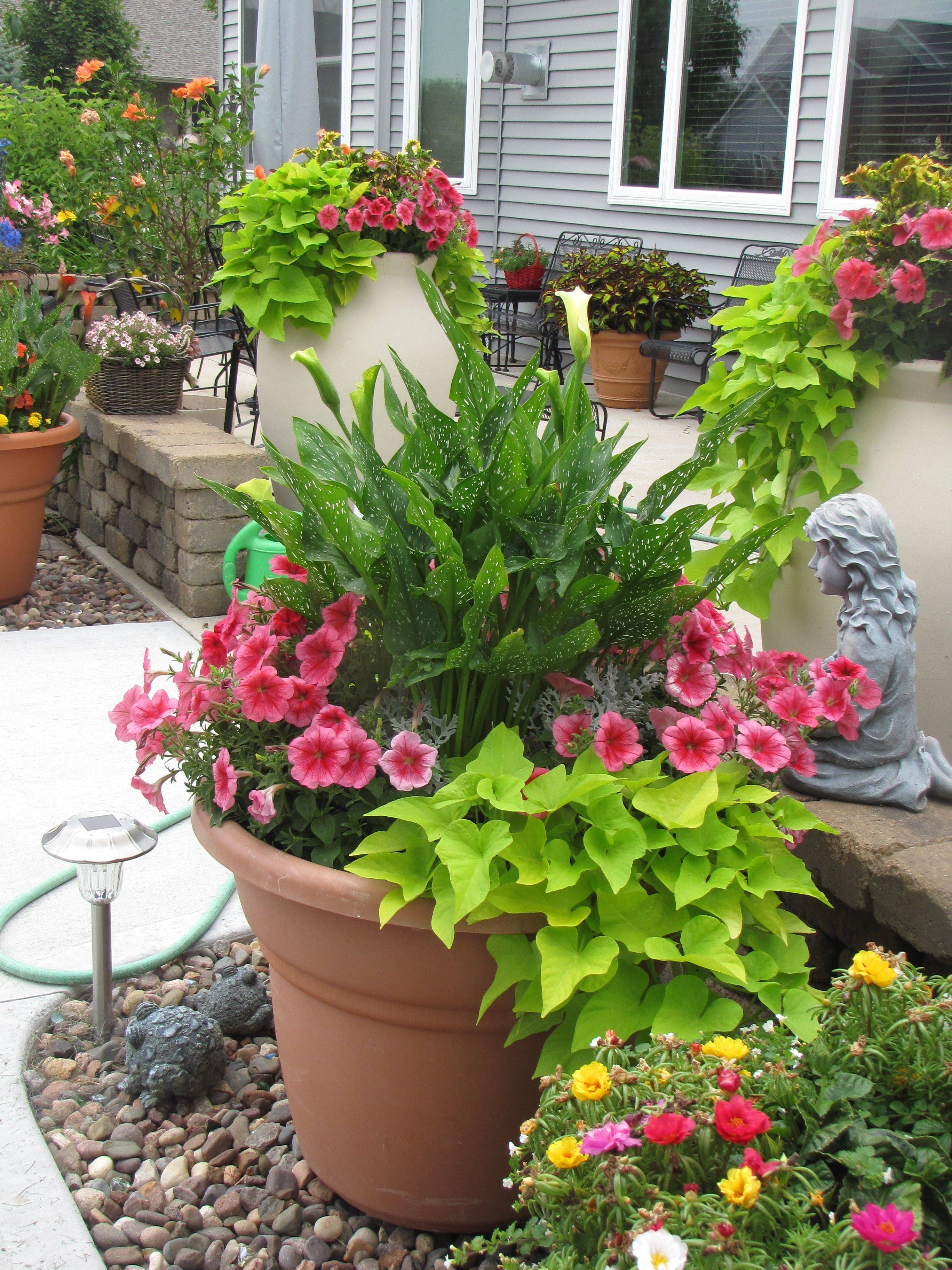 My Part Shade Container Garden Containers