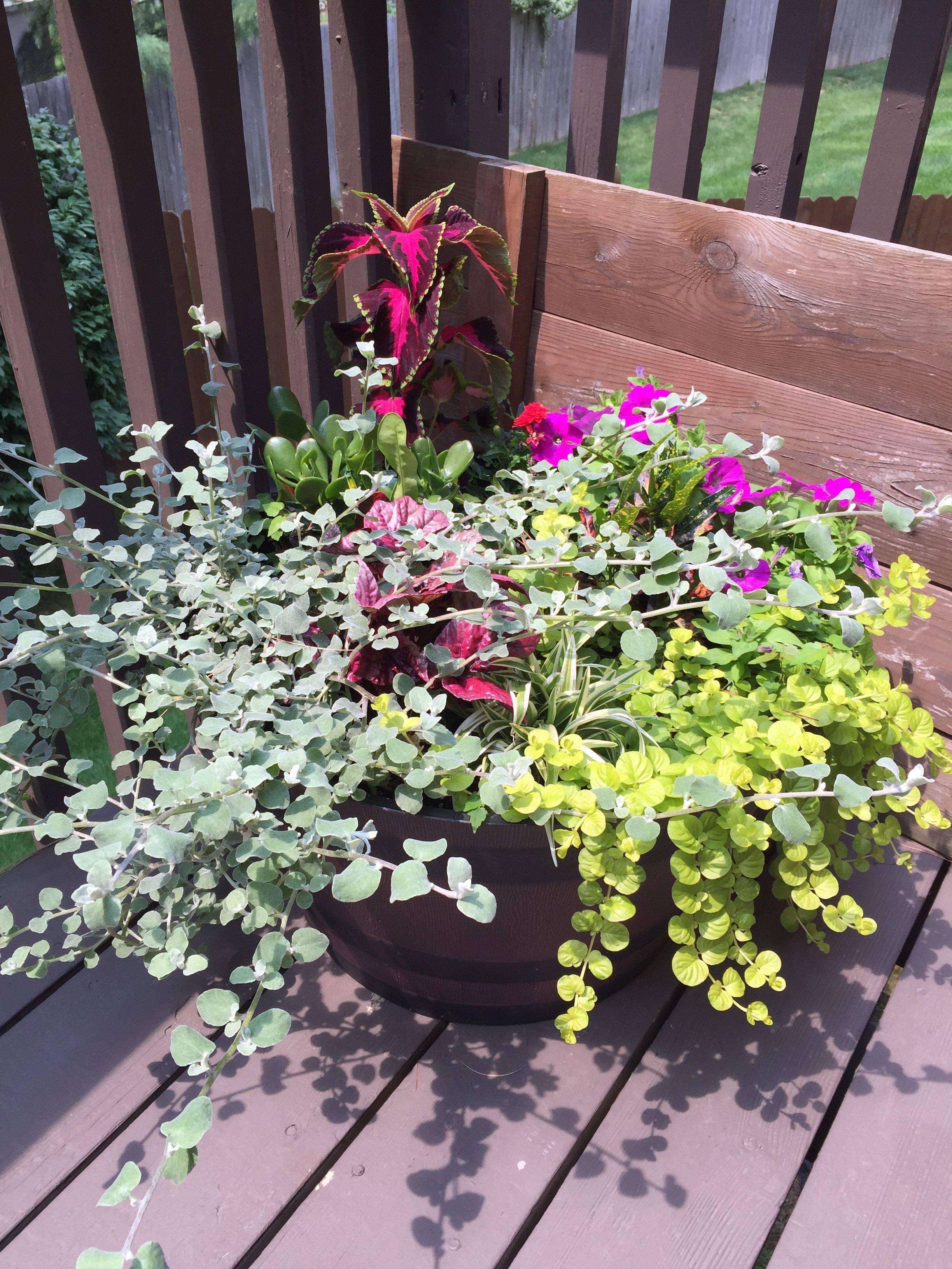 Shade Container Easy Low Maintenance