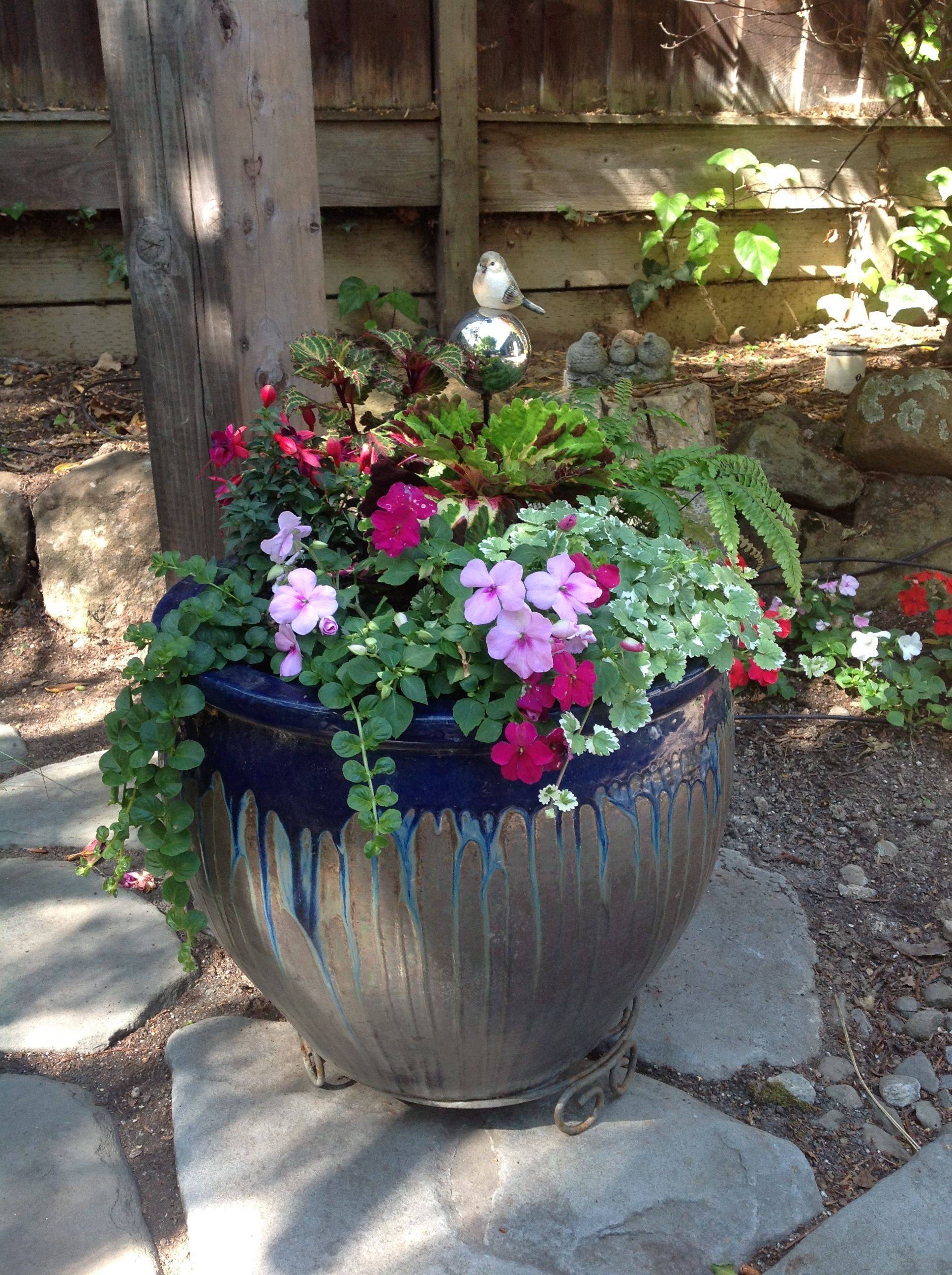 Fabulous Summer Container Garden Flowers Ideas