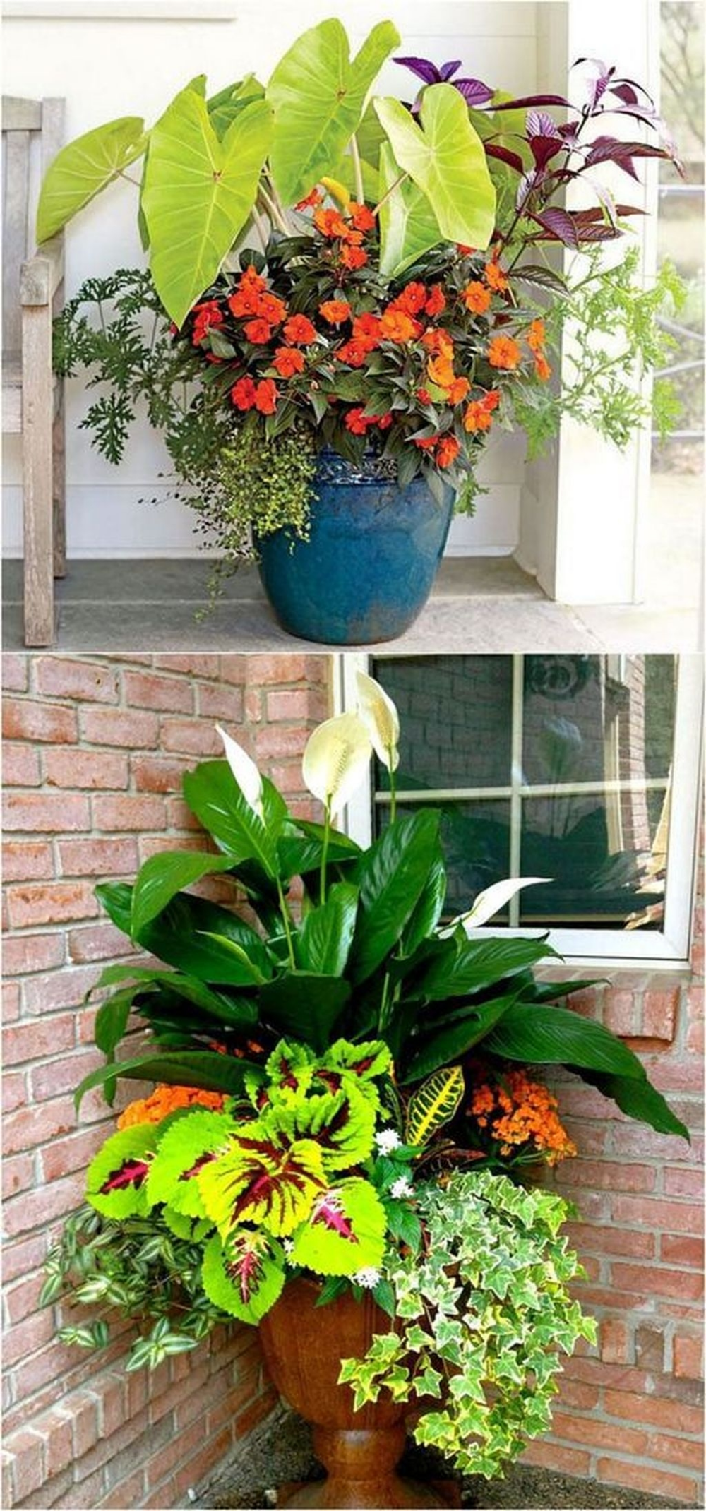 Stylish Colorful Shade Garden Pots Ideas