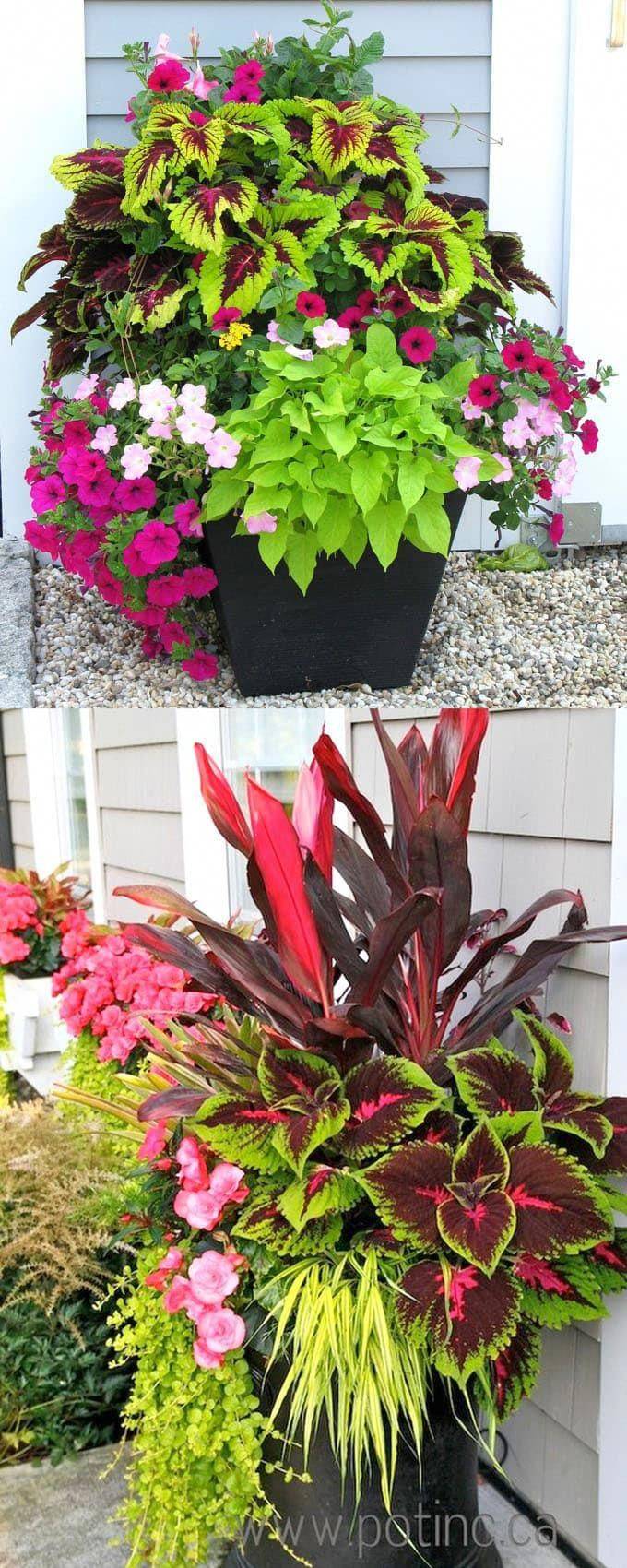 Stylish Colorful Shade Garden Pots Ideas