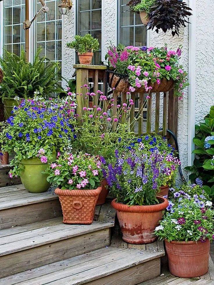 Enchanting Colorful Shade Garden Pots Ideas