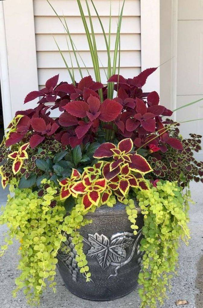 Beautiful Shade Container Ideas