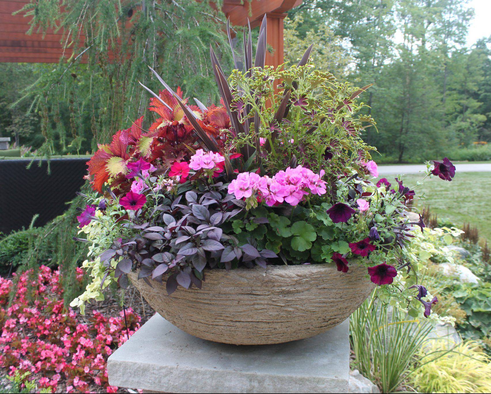 The Garden Fall Container