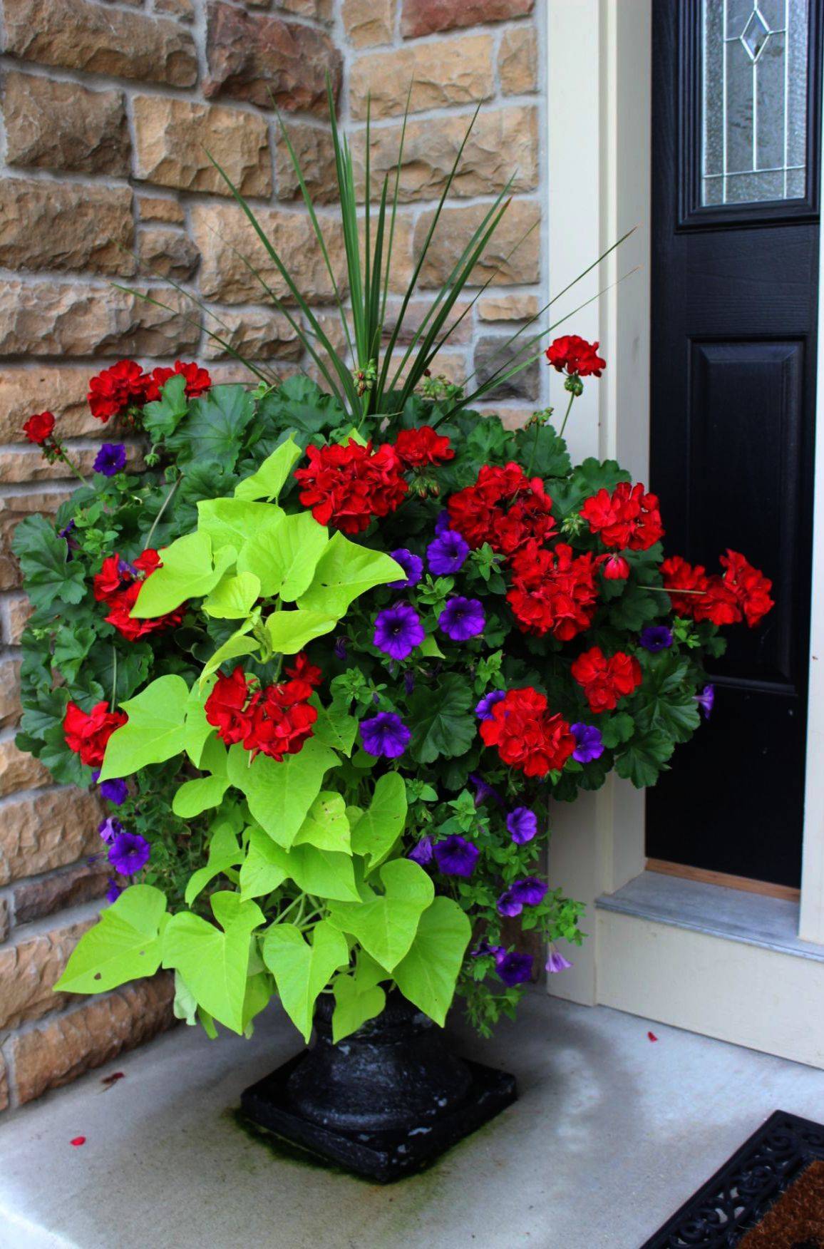 Beautiful Container Gardening Ideas Container Gardening Patio