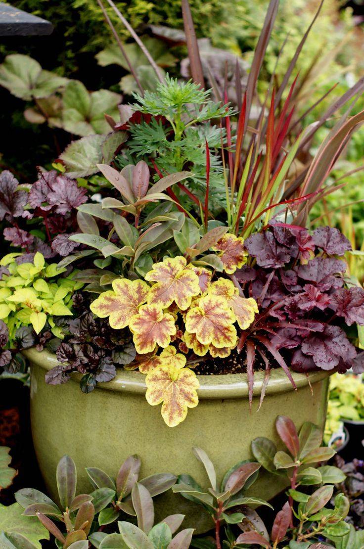 Stunning Container Gardening Ideas