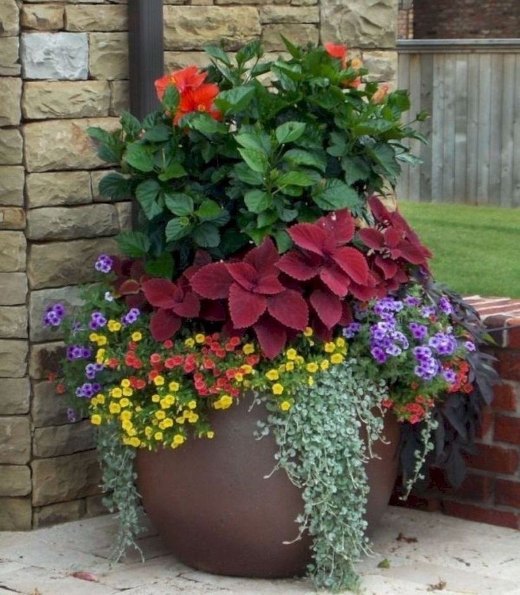 Container Gardening