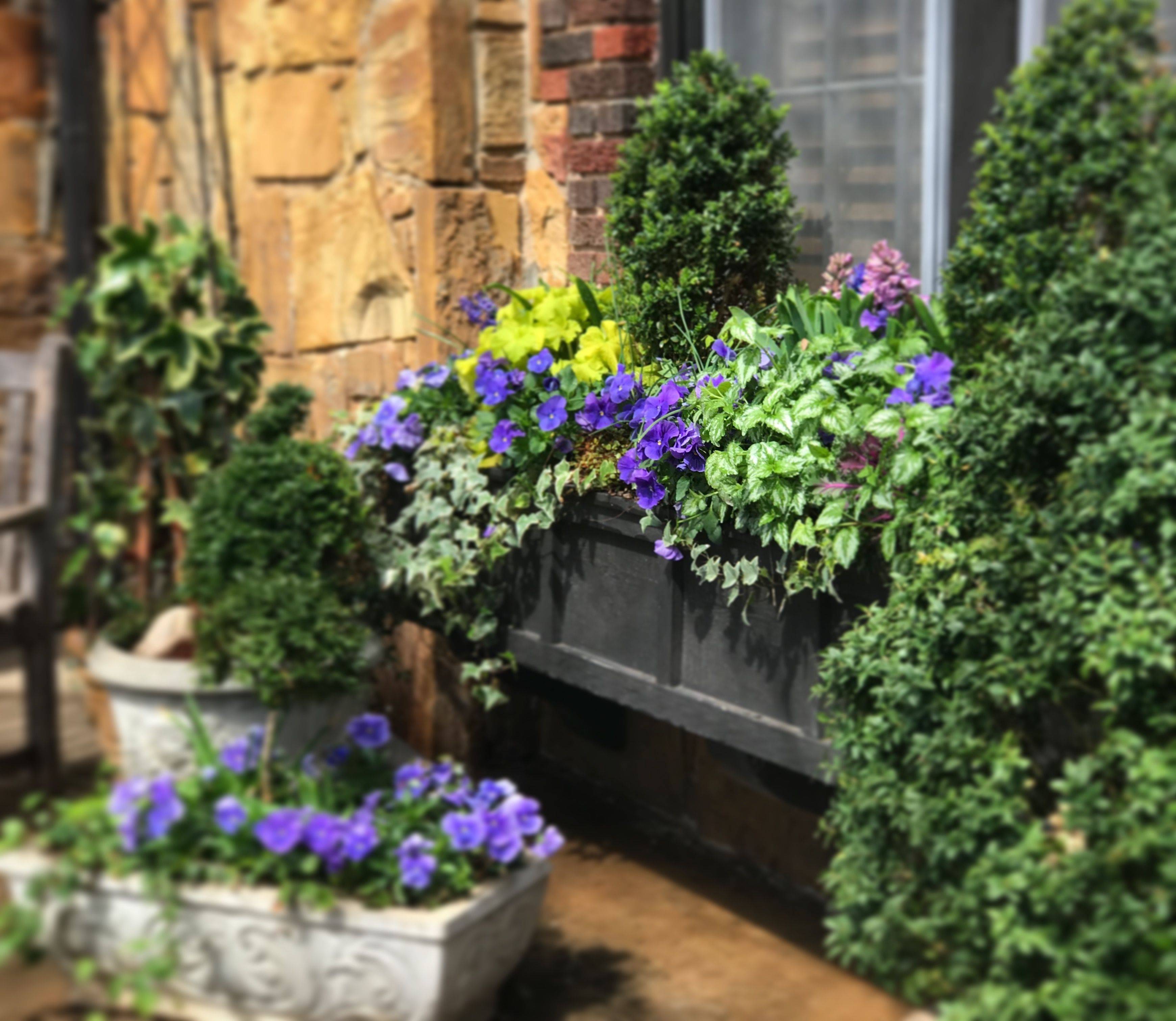 Amazing Windows Flower Boxes Design Ideas