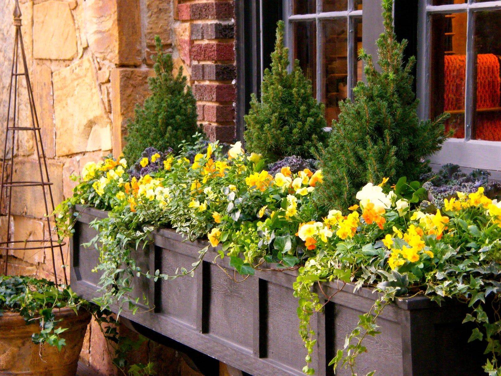 Amazing Windows Flower Boxes Design Ideas