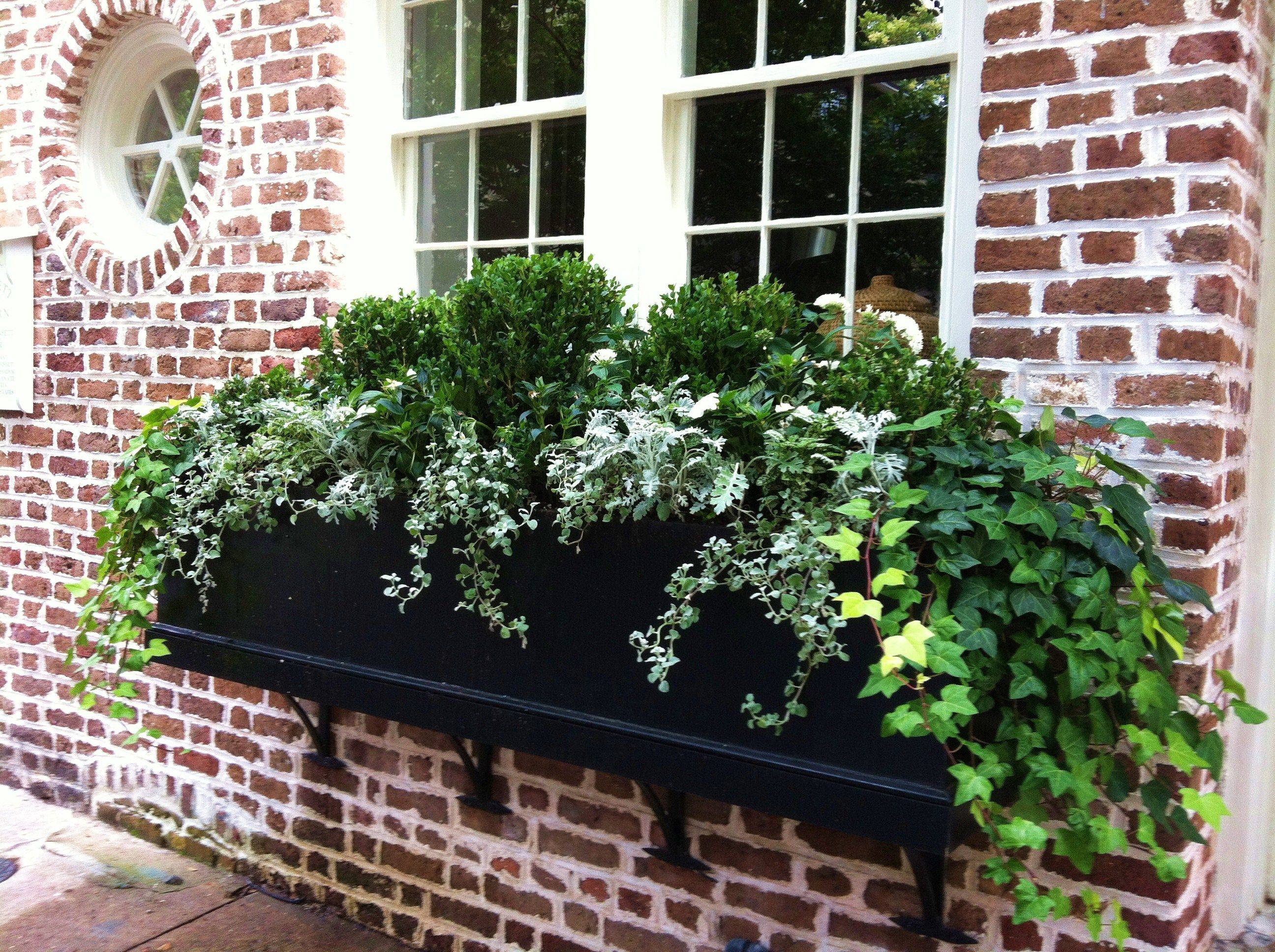 Amazing Windows Flower Boxes Design Ideas