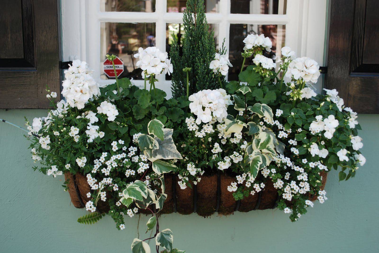 Custom Cedar Window Boxes