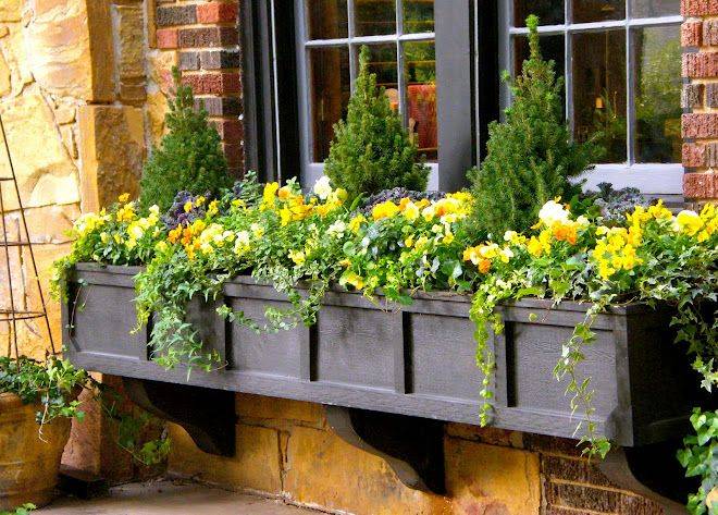 Harvest Window Box