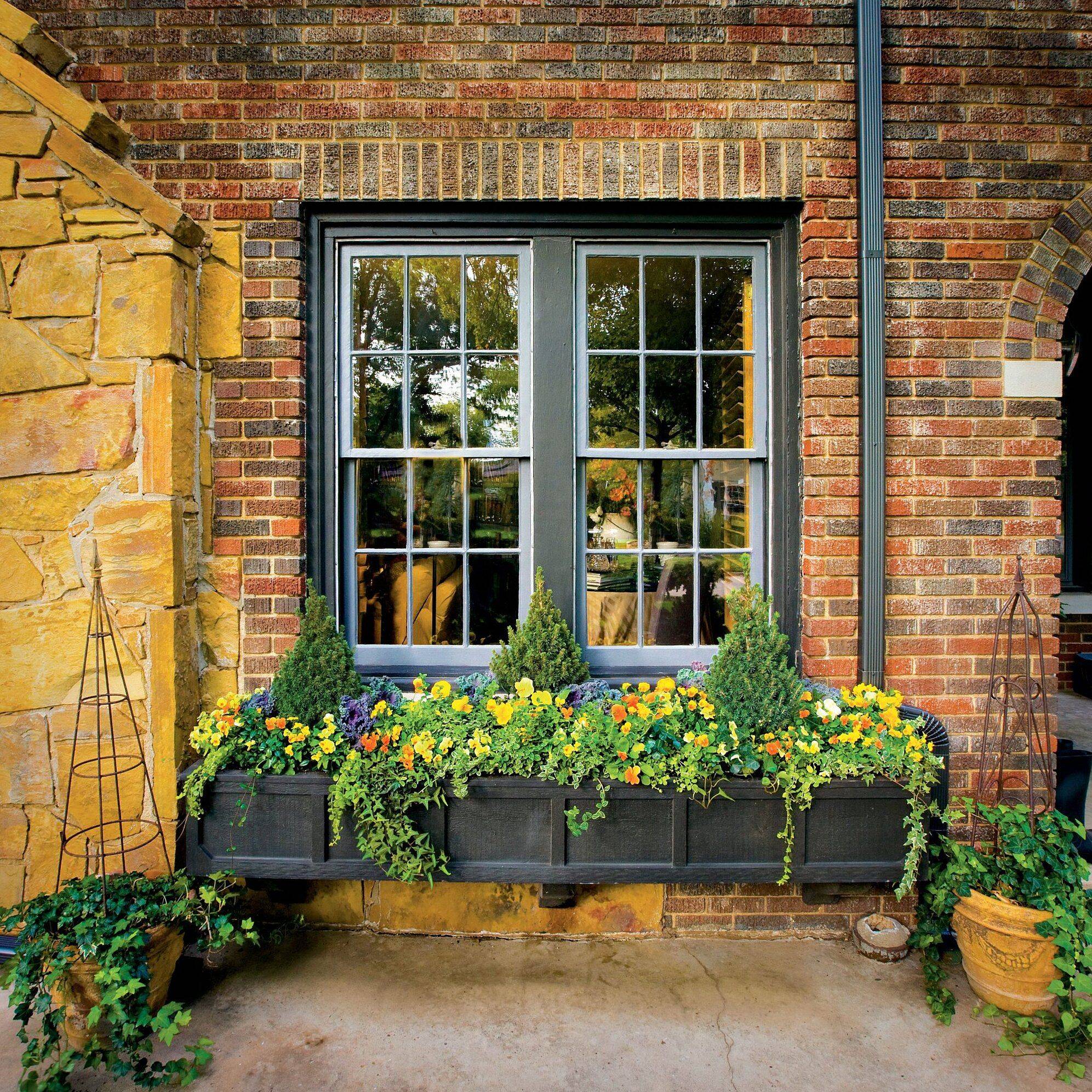 Window Box Flowers