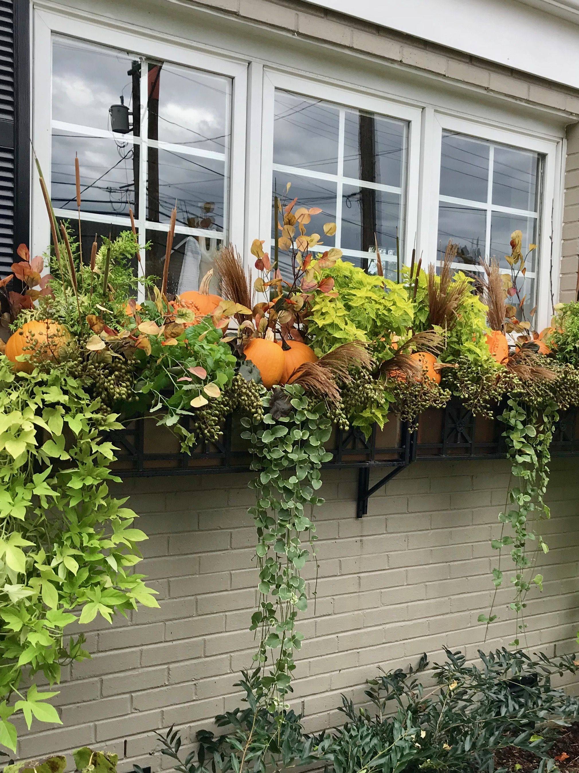 The Peppered Porch Window Box Flowers