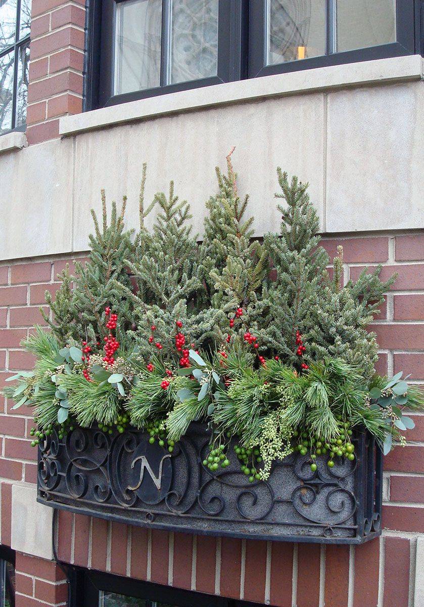 Spring Window Boxes