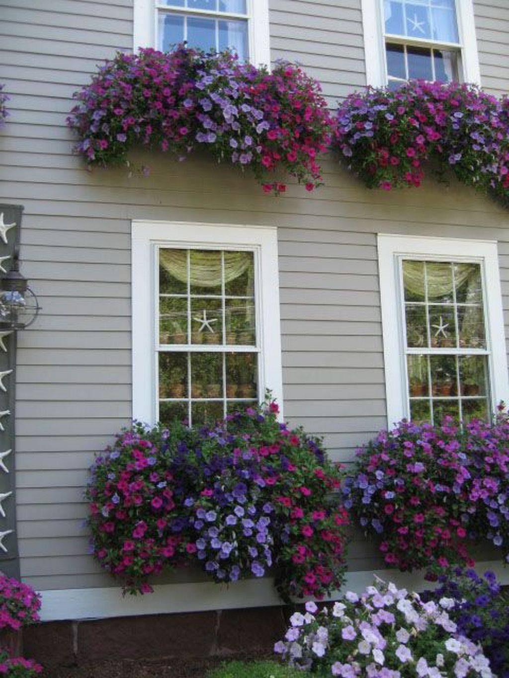 19 Window Box Garden Ideas Worth a Look SharonSable