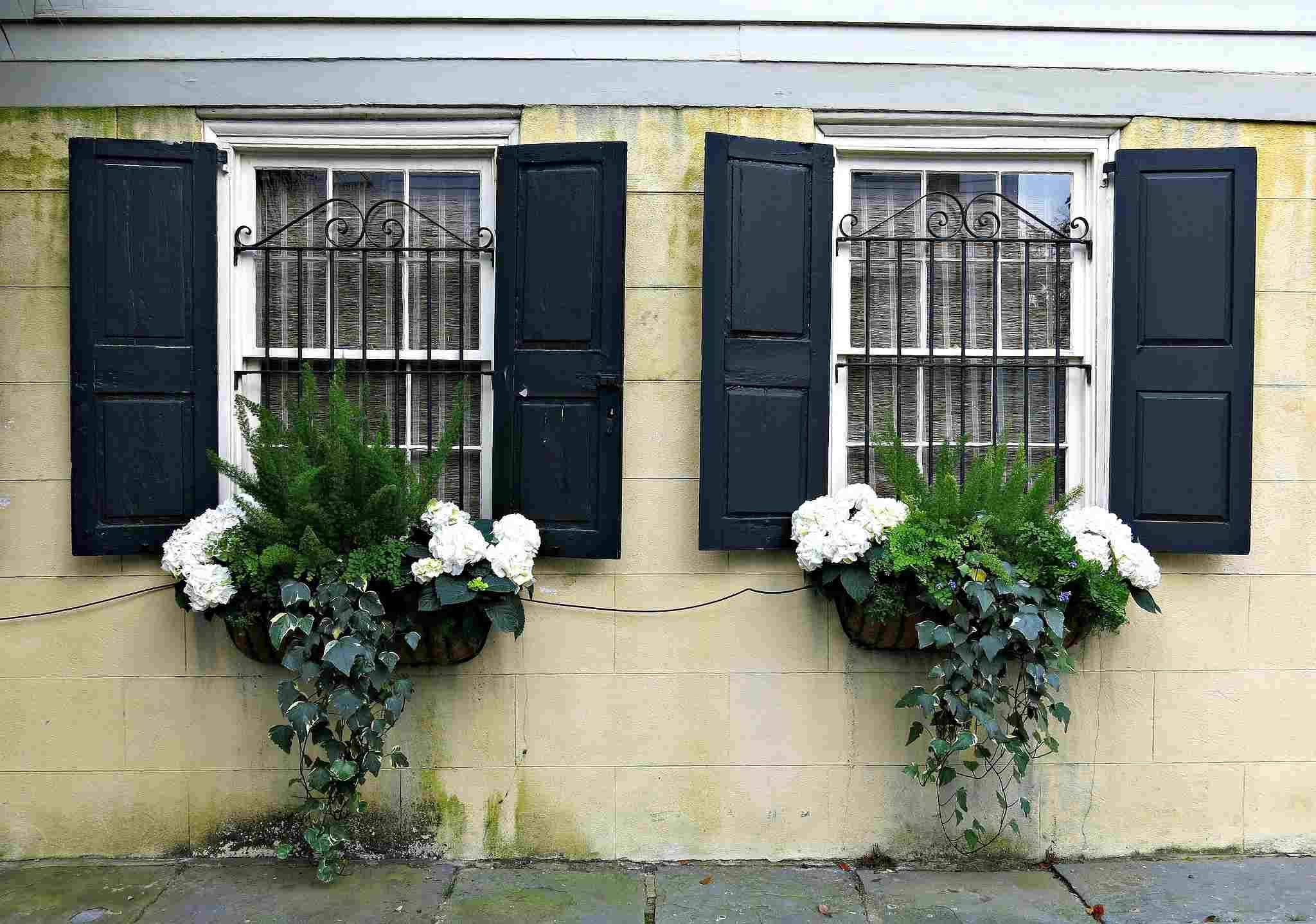 Gorgeous Window Box Ideas