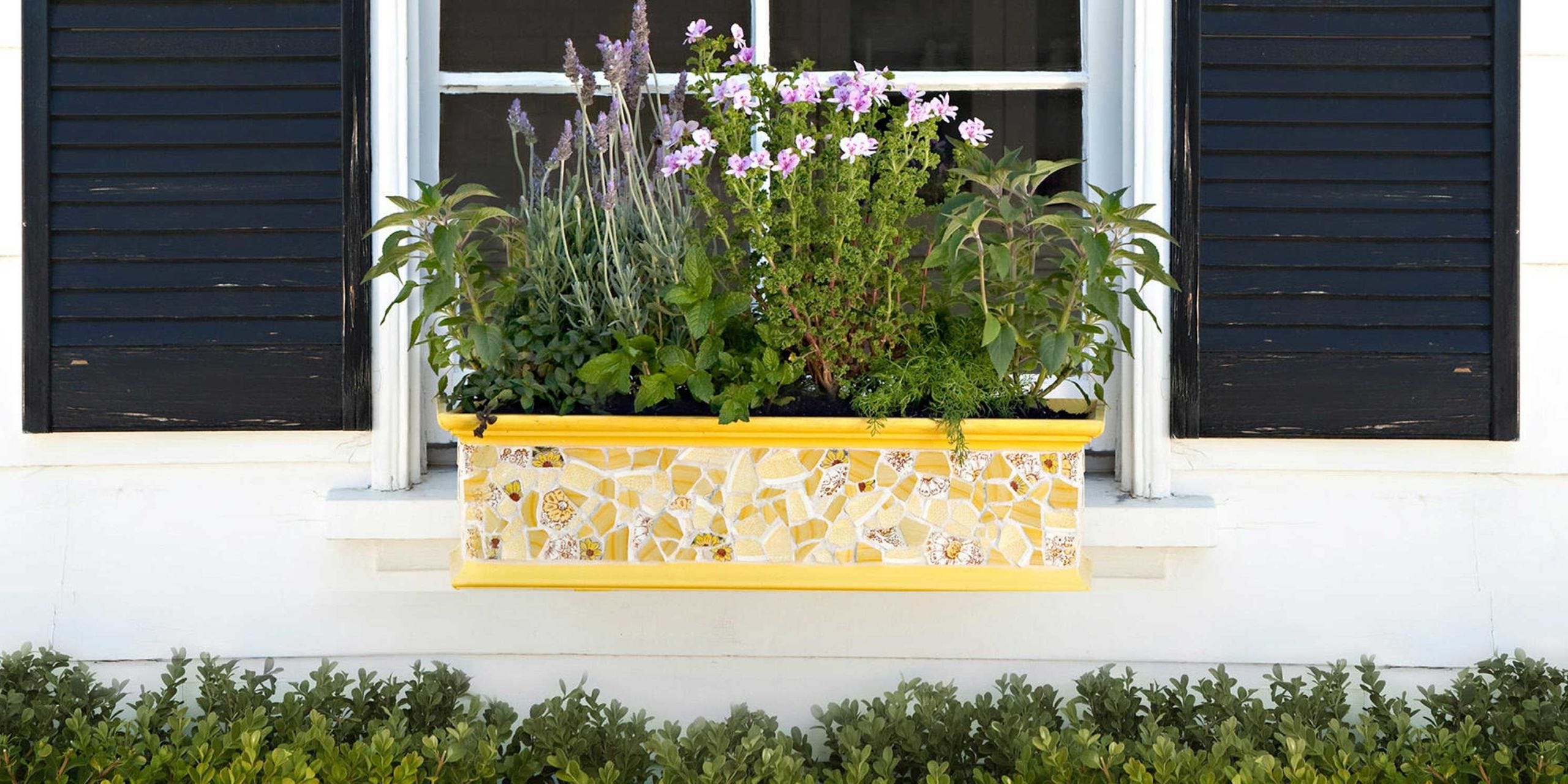 Fresh Spring Garden Ideas