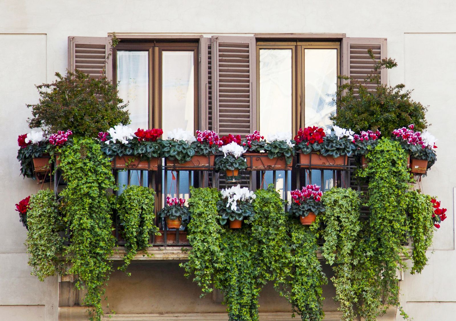 Containergardeningideas Window Box