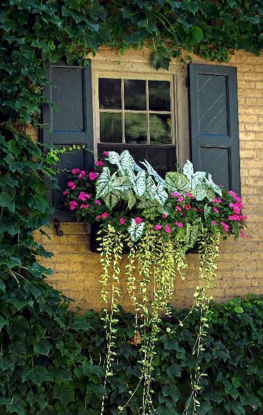 Window Boxes