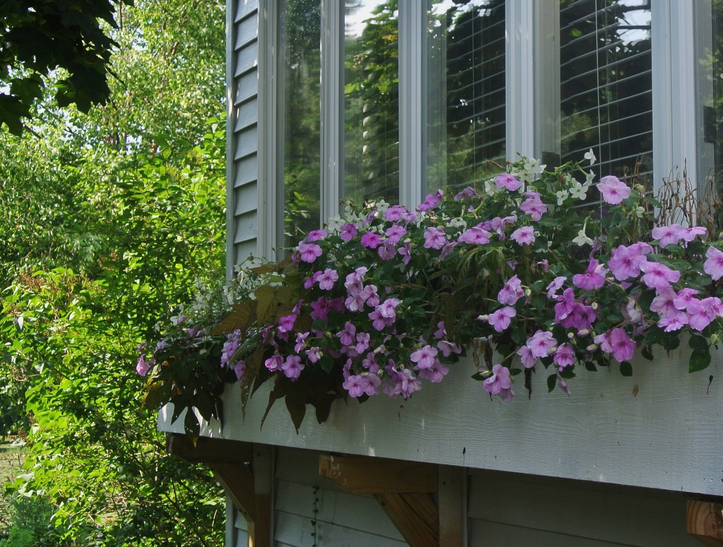 More Garden Inspirations