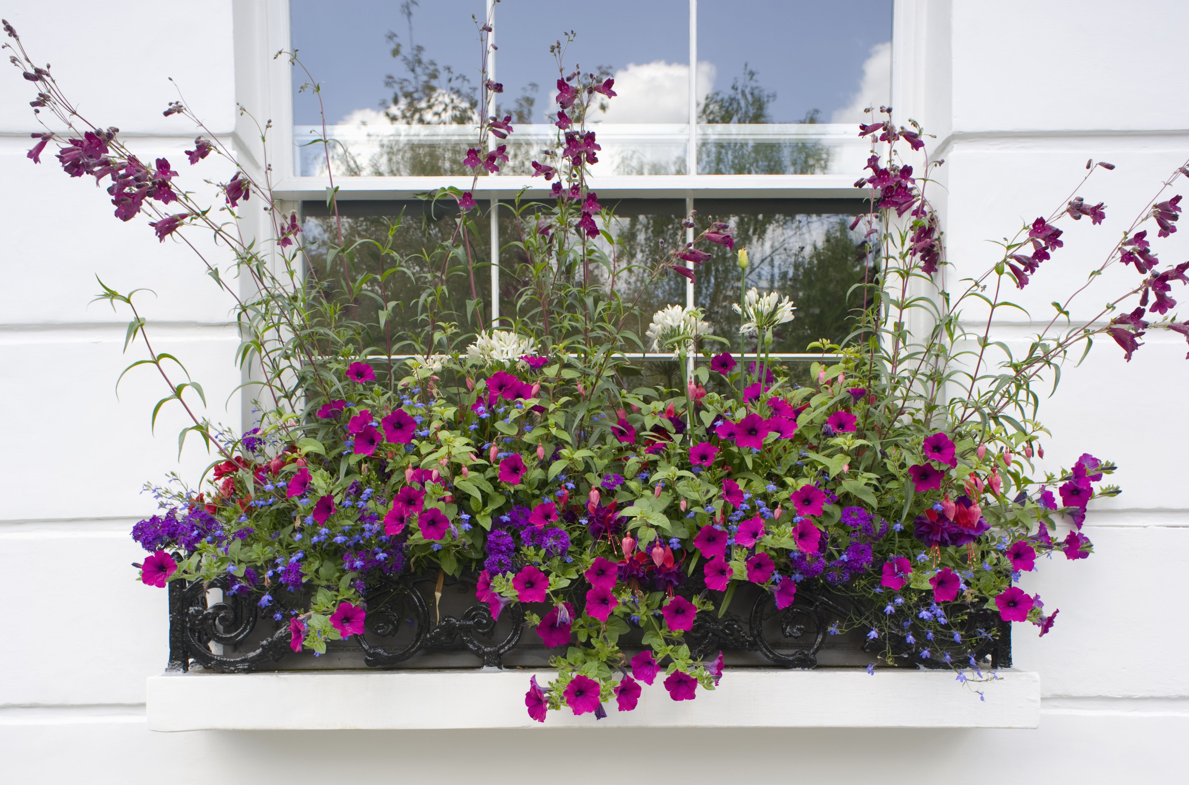 More Garden Inspirations