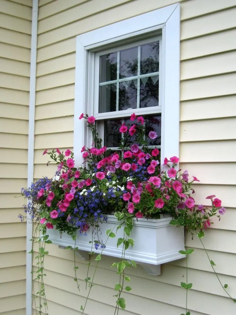 Many Beautiful Window Boxes