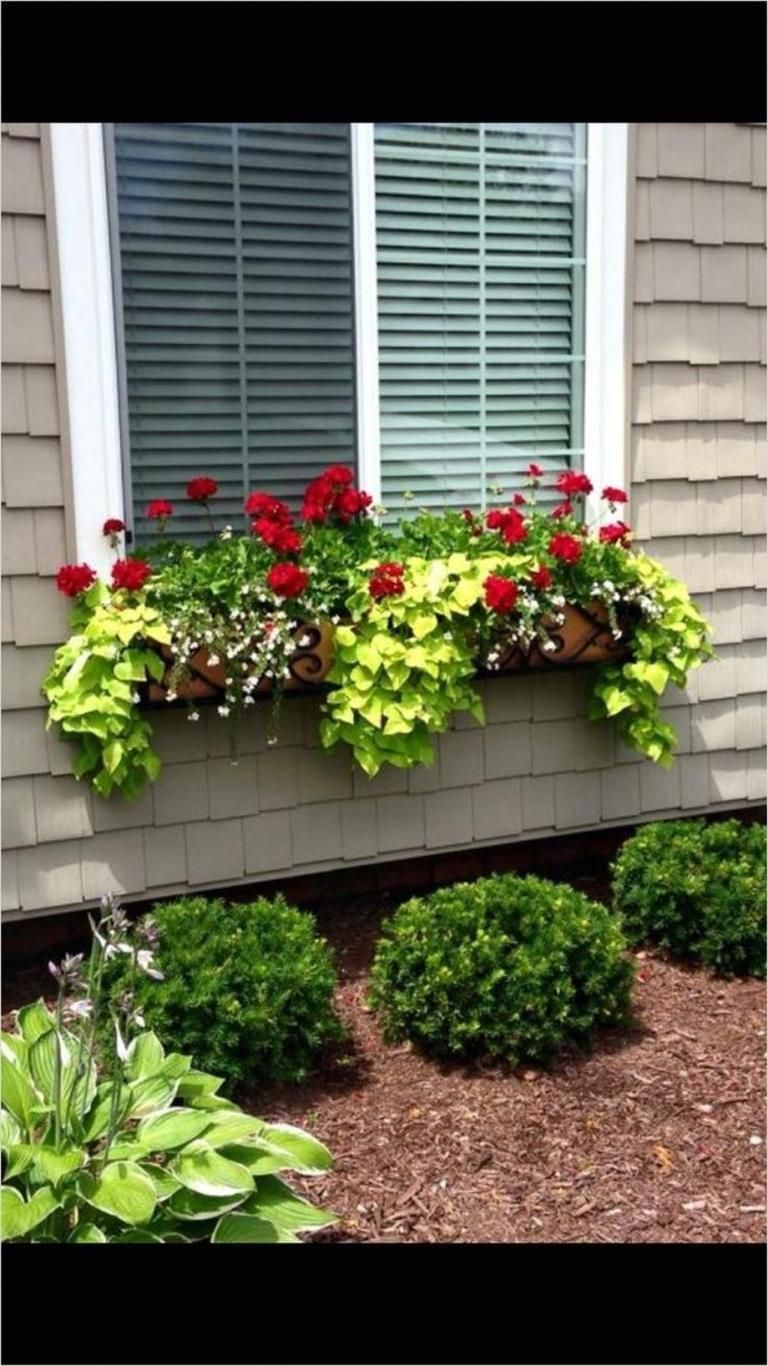 Showstopping Autumn Window Box Fall Container Gardening Ideas