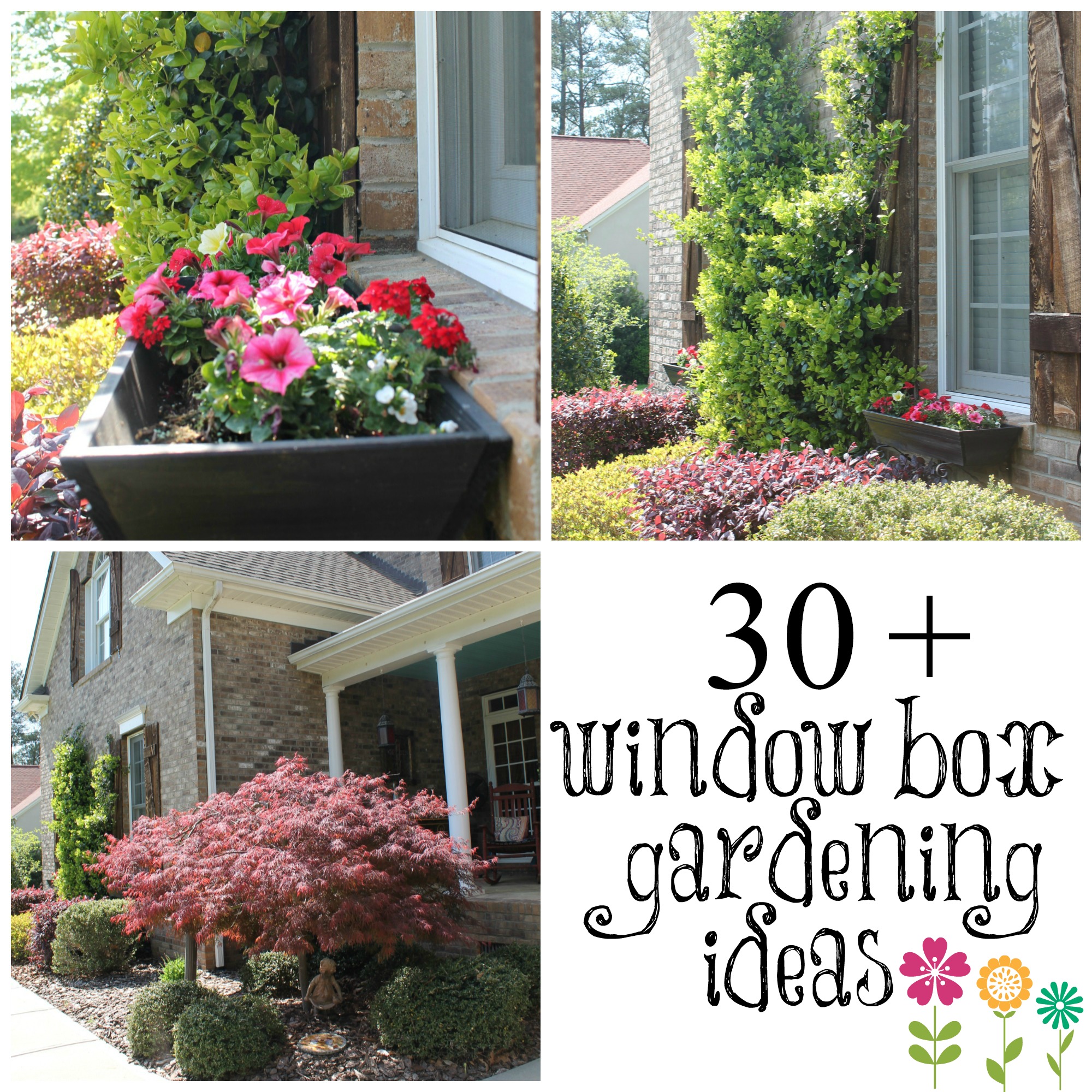 Window Box Planting Ideas