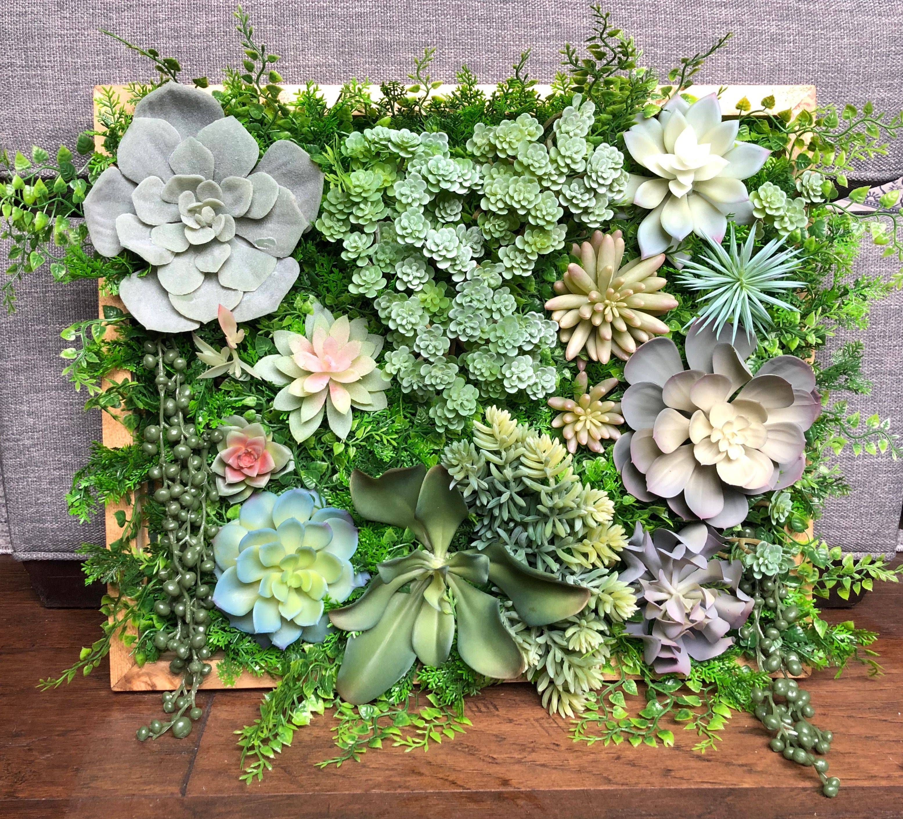 14 Succulent Wall Garden Ideas You Must Look SharonSable
