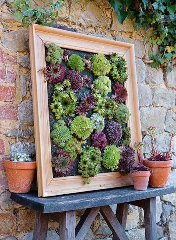 Best Succulent Garden Ideas