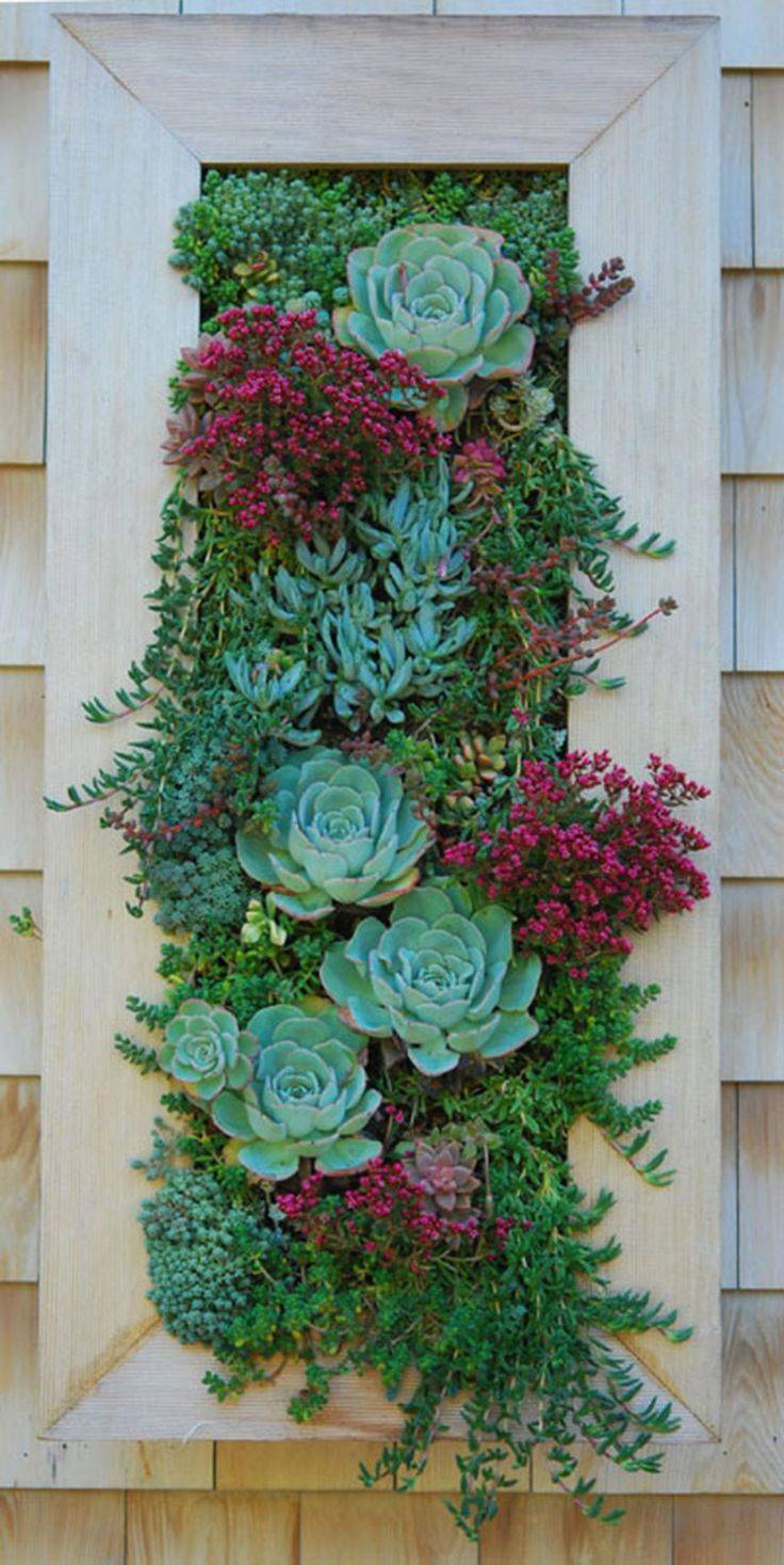 Vertical Gardening Ideas Succulent Garden Design