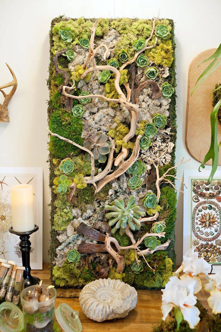 Vertical Gardening Ideas Succulent Garden Design