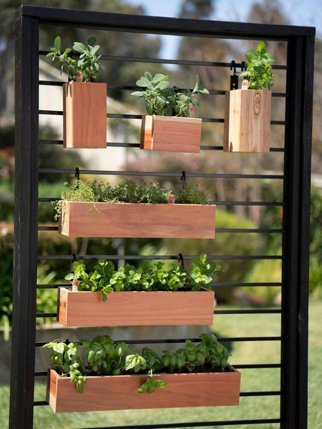 21 Vertical Garden Wall Plans Ideas To Consider SharonSable