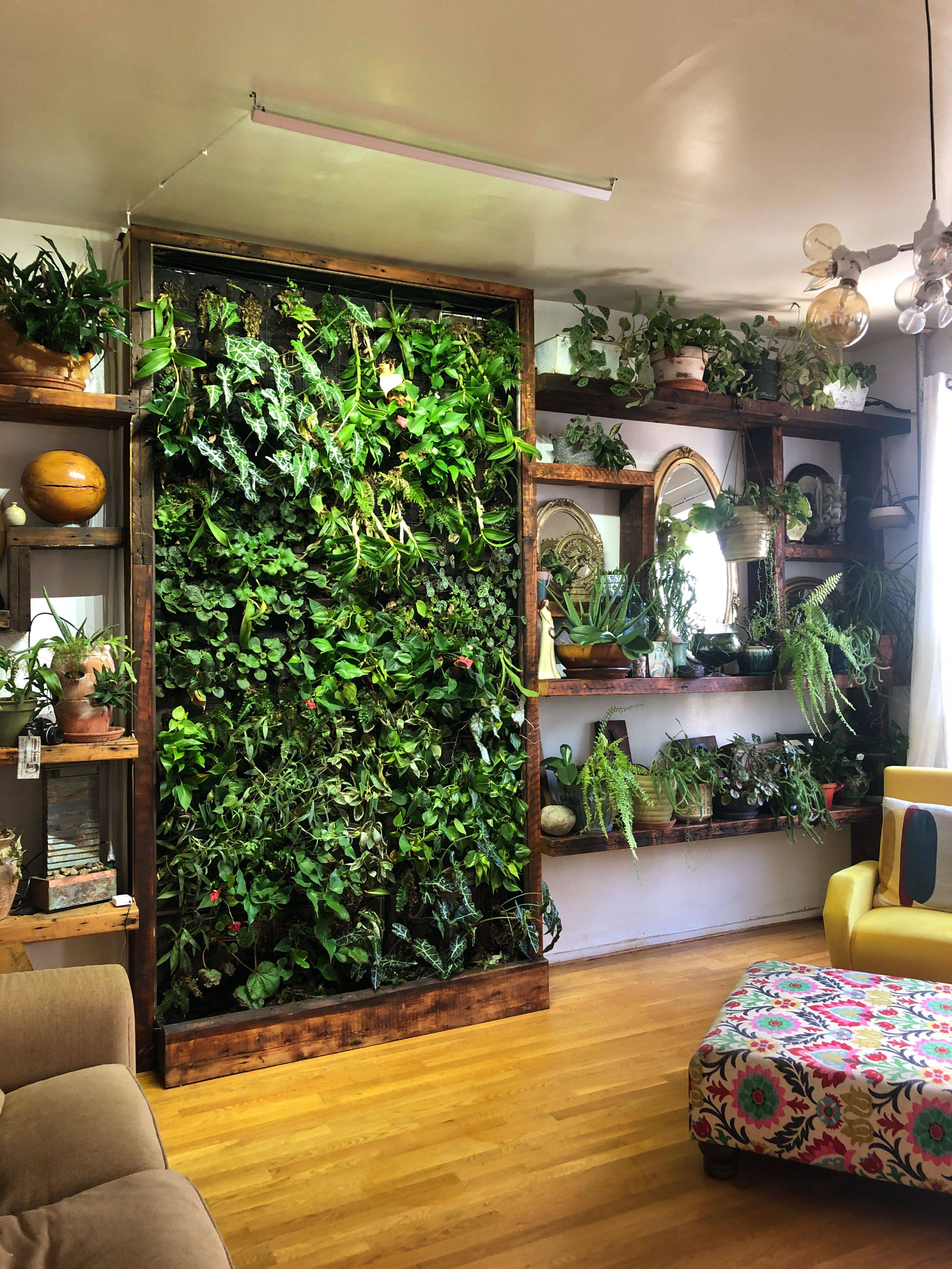 Living Wall Vertical Garden Benefits Quiet Corner
