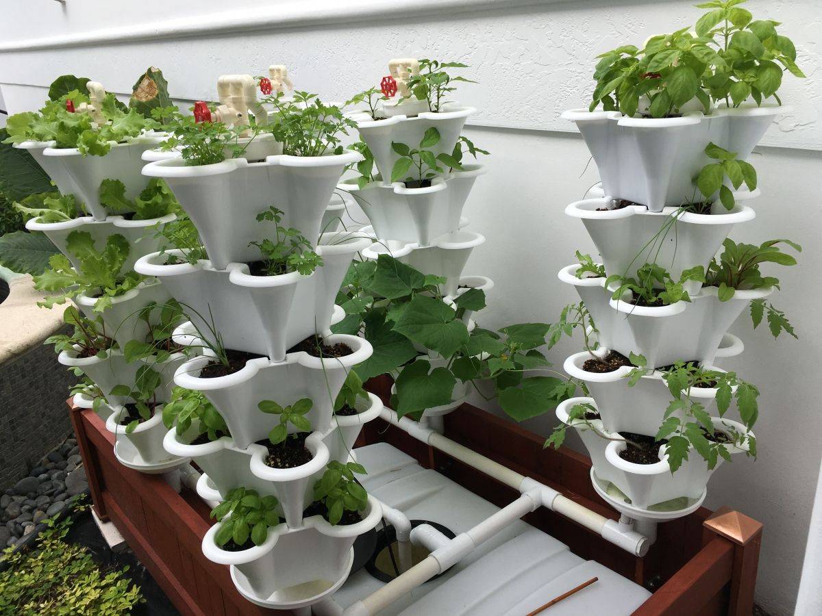 Vertical Hydroponics Gardening Ideas