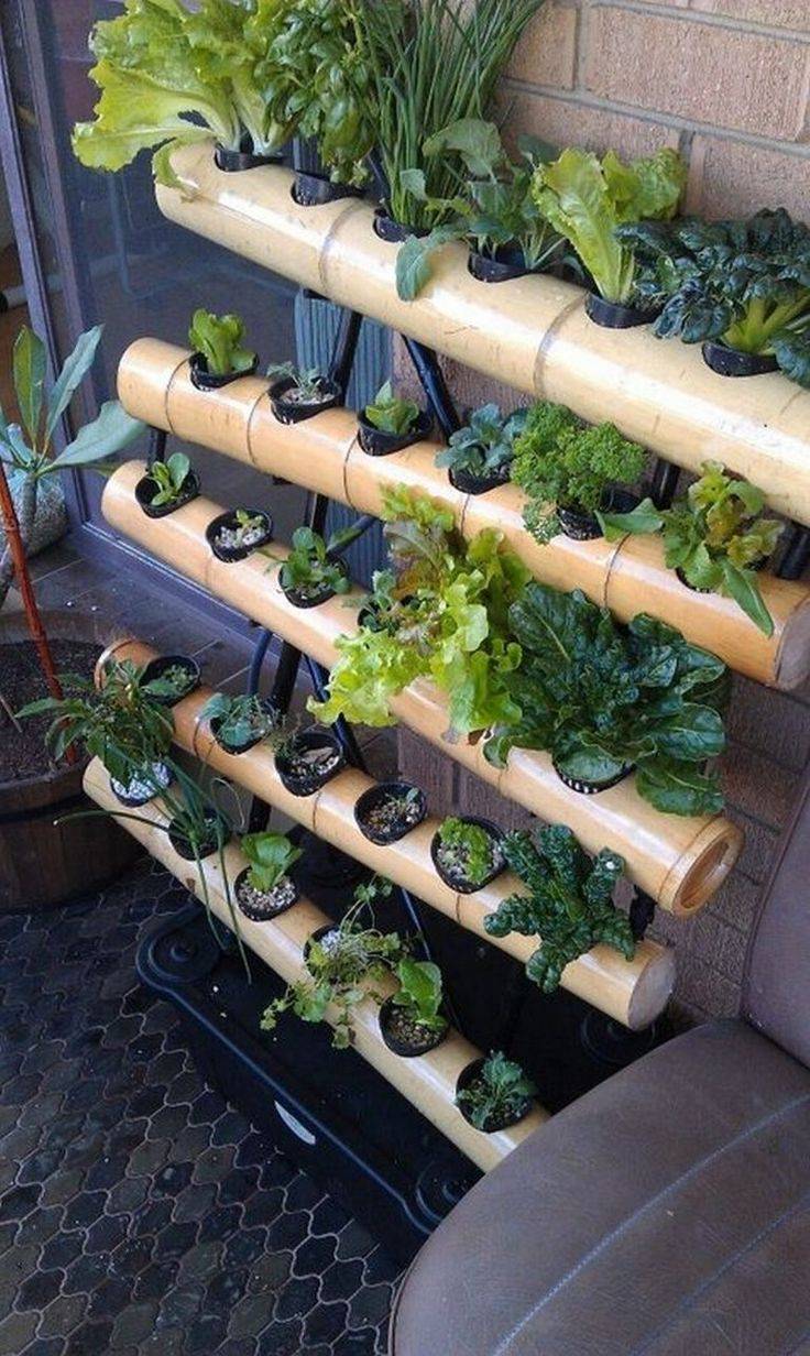 Hydroponics Indoor Ideas