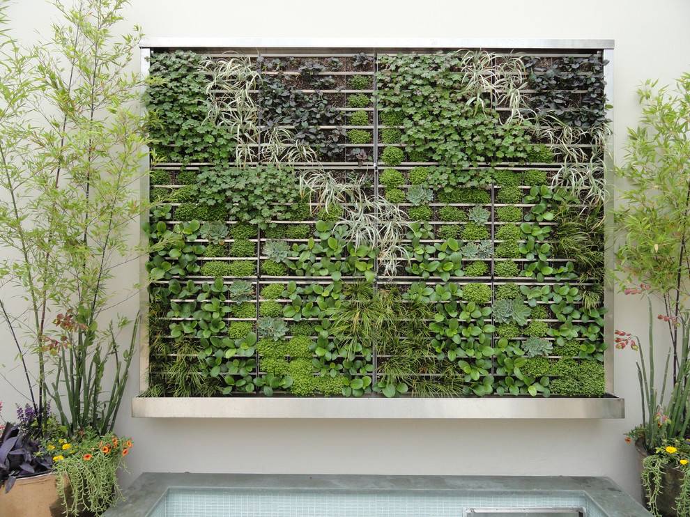 Cool Diy Green Living Wall Projects