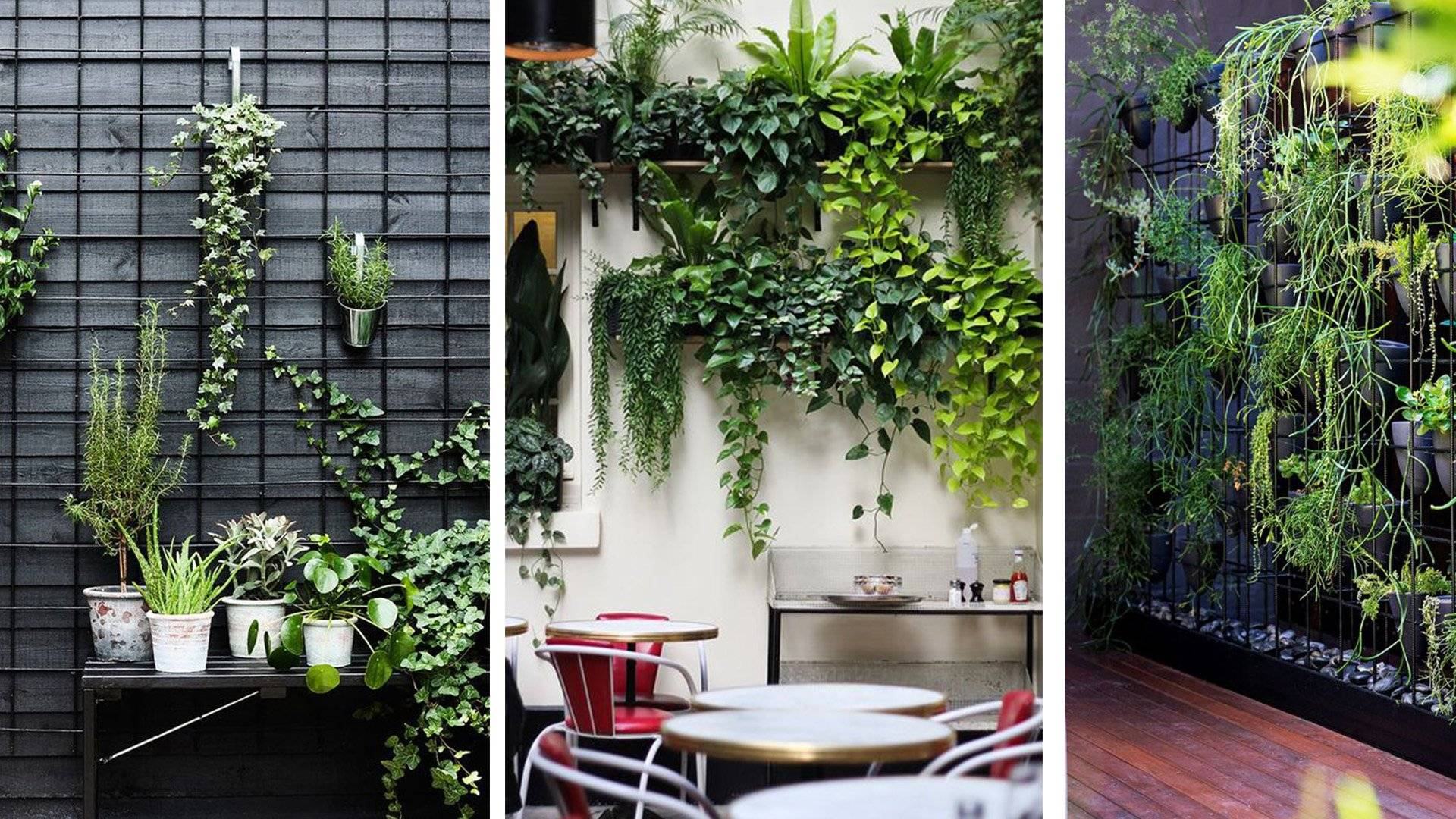 Easy Clever Gardening Ideas